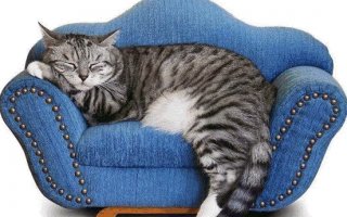 Семь способов побороть лень