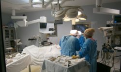 Медицинские работники Киева ознакомились с опытом грузинских коллег