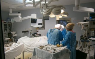 Медицинские работники Киева ознакомились с опытом грузинских коллег
