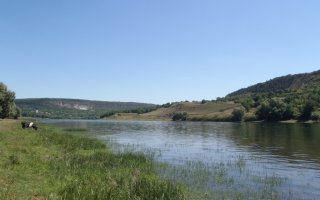 Продолжается сезон повышенного риска заболевания лептоспирозом