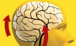 Лечение дисциркуляторной энцефалопатии