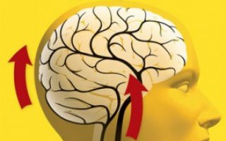 Лечение дисциркуляторной энцефалопатии