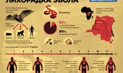 В Гвинее выздоровела последняя пациентка с лихорадкой Эбола