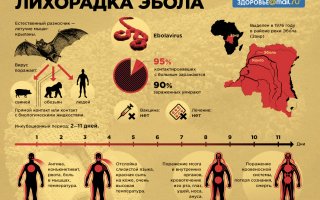 В Гвинее выздоровела последняя пациентка с лихорадкой Эбола