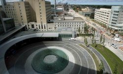 В США было получено разрешение на первое клиническое испытание по пересадке матки