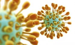 Обнаружено уязвимое место в вирусе MERS