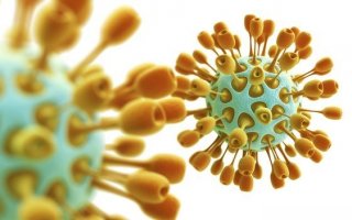 Обнаружено уязвимое место в вирусе MERS
