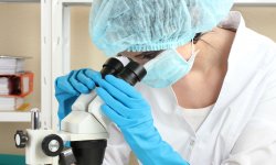 Ученые работают над созданием более совершенных технологий криоконсервации