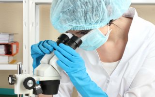 Ученые работают над созданием более совершенных технологий криоконсервации