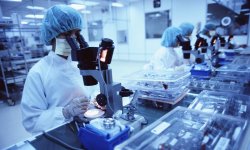 Новые исследования помогут создать эффективные средства для борьбы с ожирением