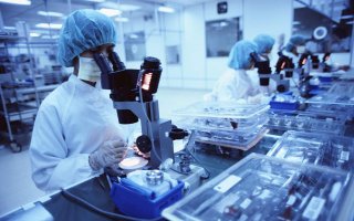 Новые исследования помогут создать эффективные средства для борьбы с ожирением
