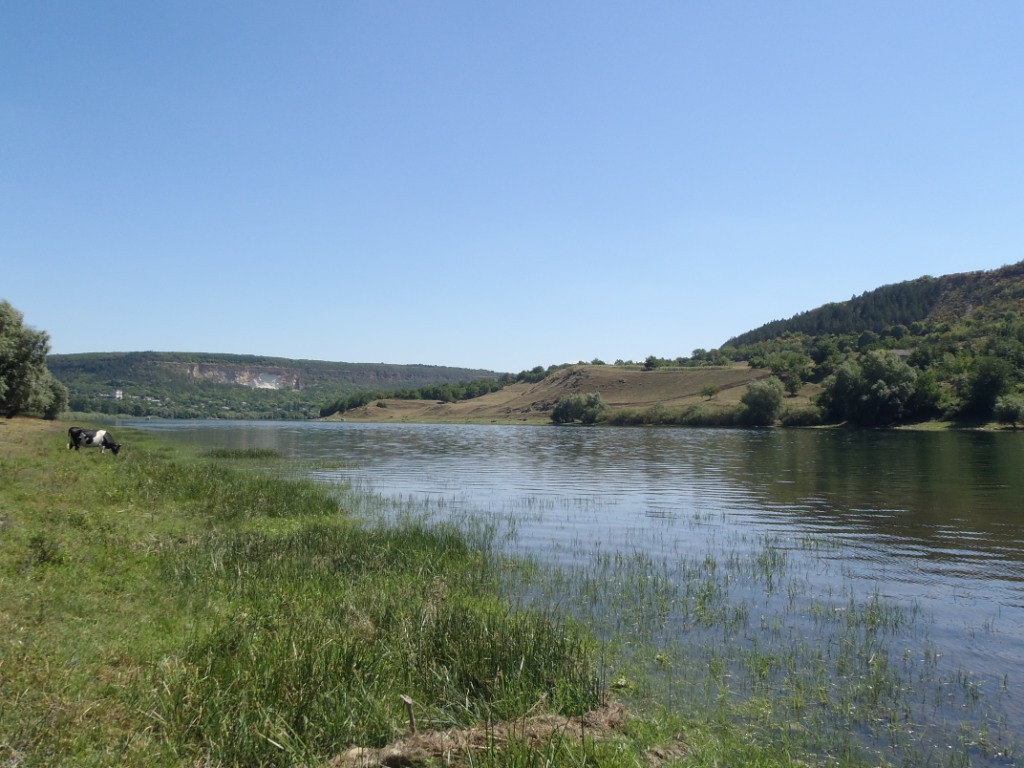 Стоячая вода