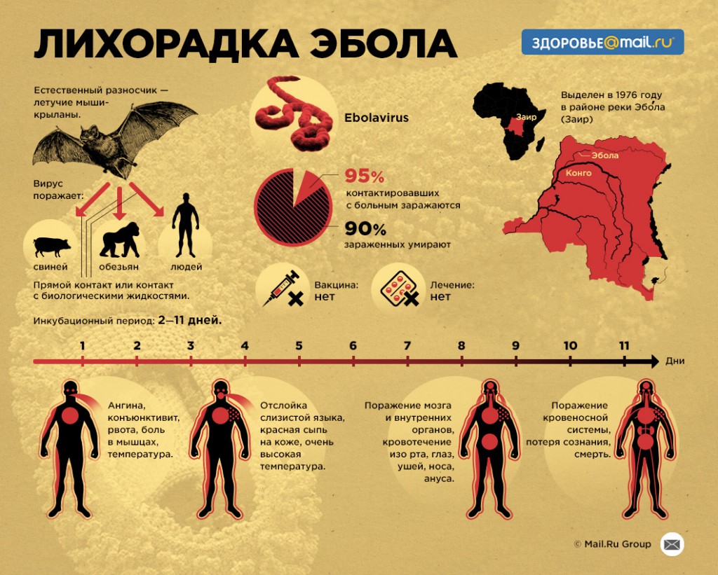 Эбола инфографика